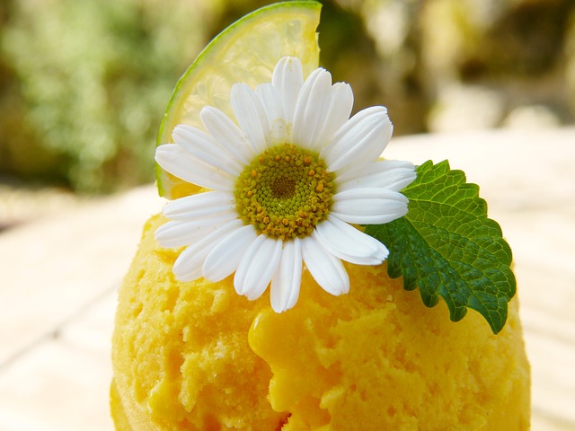 mango zmrzlina